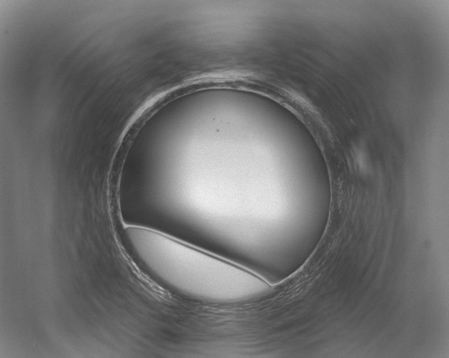 X0000058771412200509300828