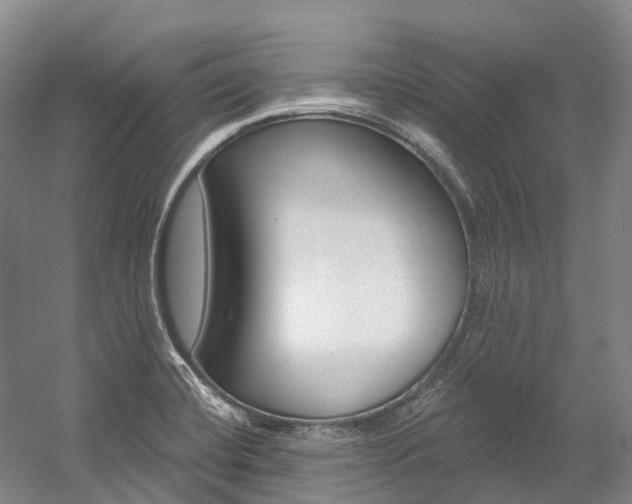 X0000058771420200509300828