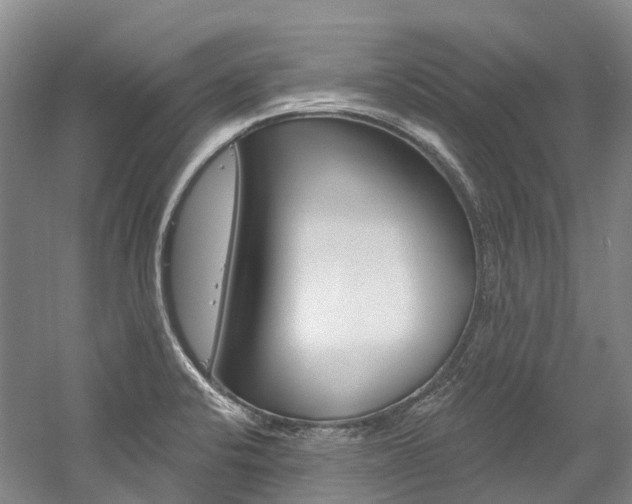 X0000058771424200509300828