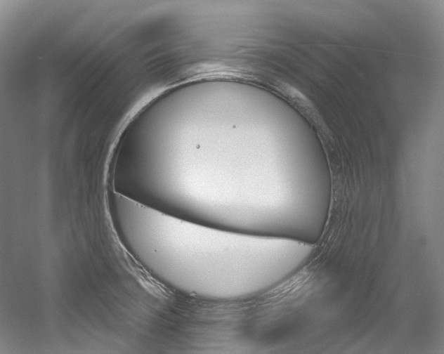 X0000058771427200509300828
