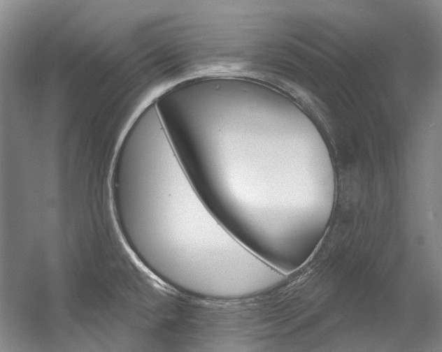 X0000058771432200509300828