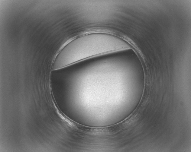 X0000058771433200509300828