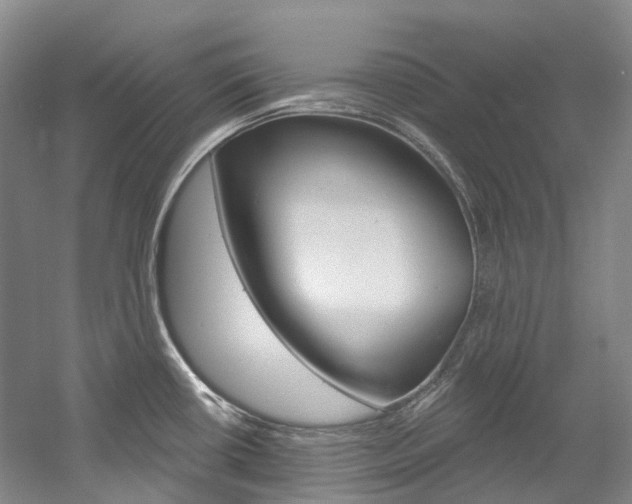 X0000058771434200509300828