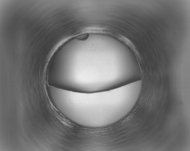 X0000058771435200509300828