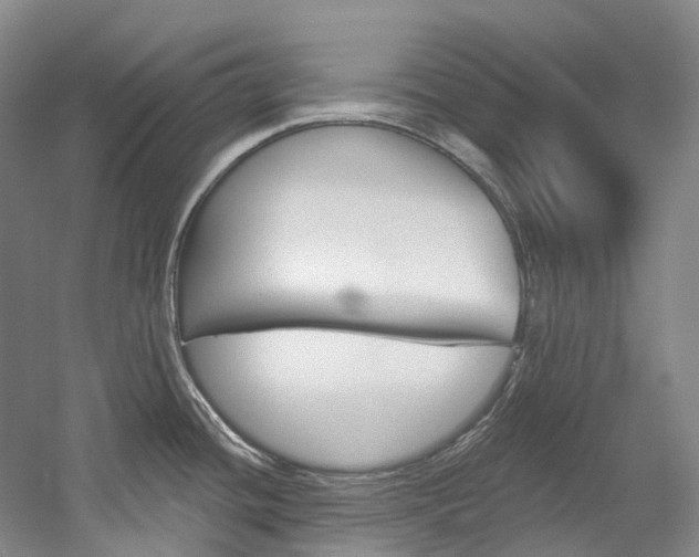 X0000058771436200509300828