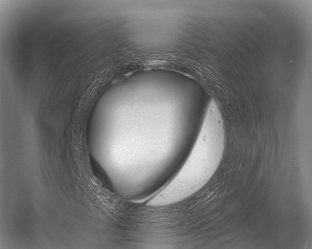 X0000058771441200509300827