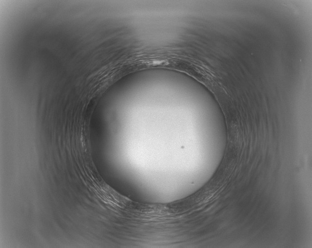 X0000058771442200509300827