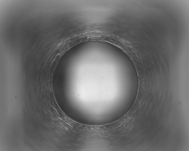 X0000058771445200509300827