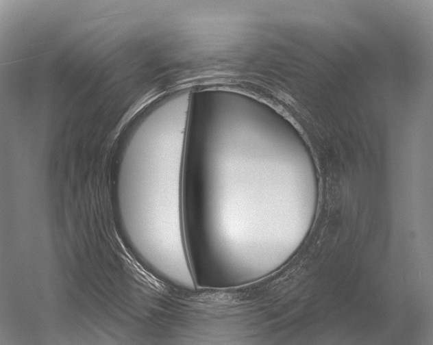 X0000058771450200509300827