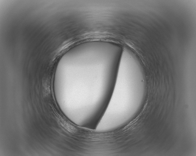 X0000058771451200509300827