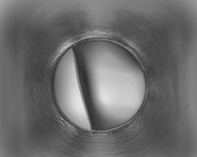 X0000058771455200509300827