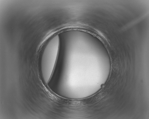 X0000058771456200509300827