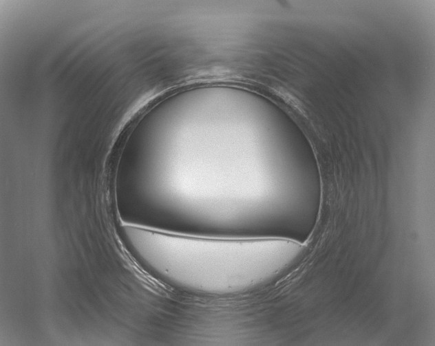 X0000058771458200509300827