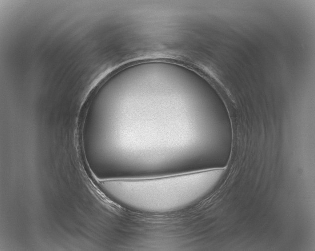 X0000058771460200509300827