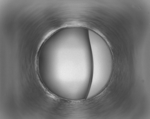 X0000058771477200509300827