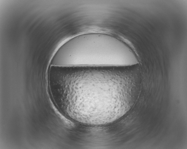 X0000058771479200509300827