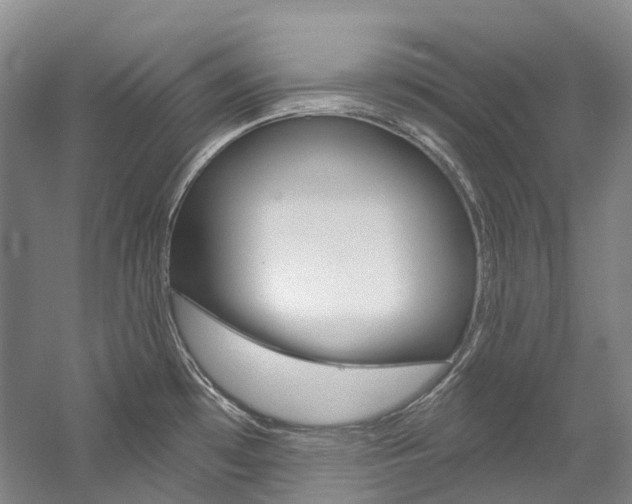 X0000058771481200509300827