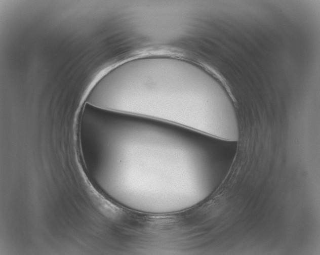X0000058771483200509300827