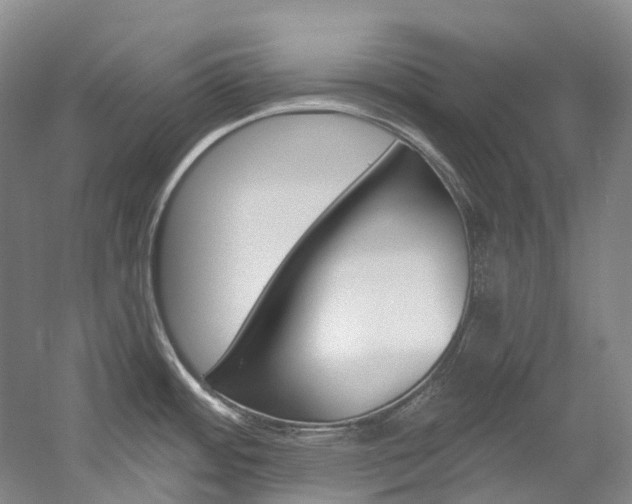 X0000058771484200509300827