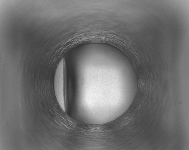 X0000058771490200509300826