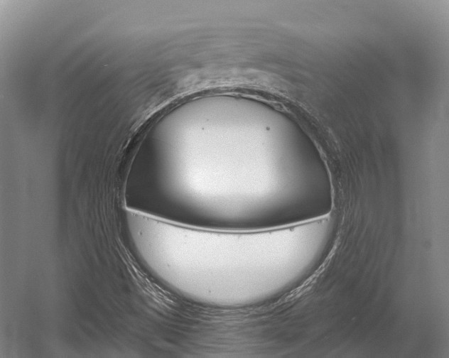 X0000058771497200509300826