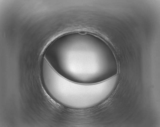 X0000058771500200509300826