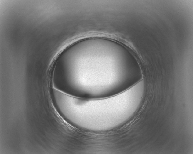 X0000058771504200509300826