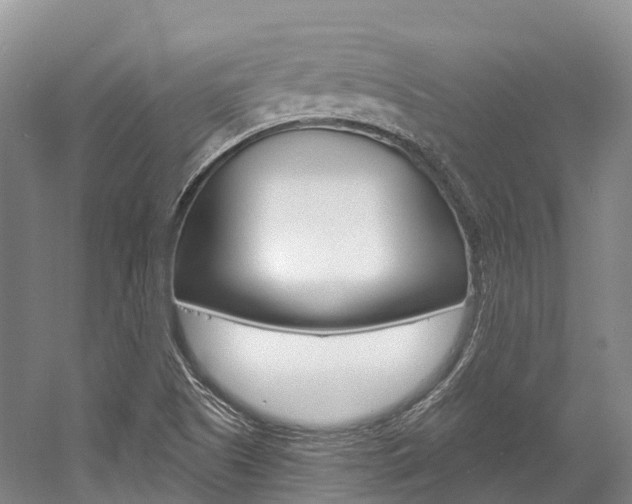 X0000058771505200509300826