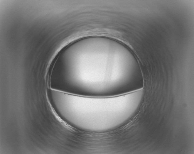 X0000058771515200509300826