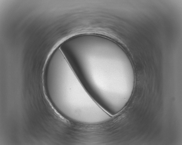 X0000058771517200509300826