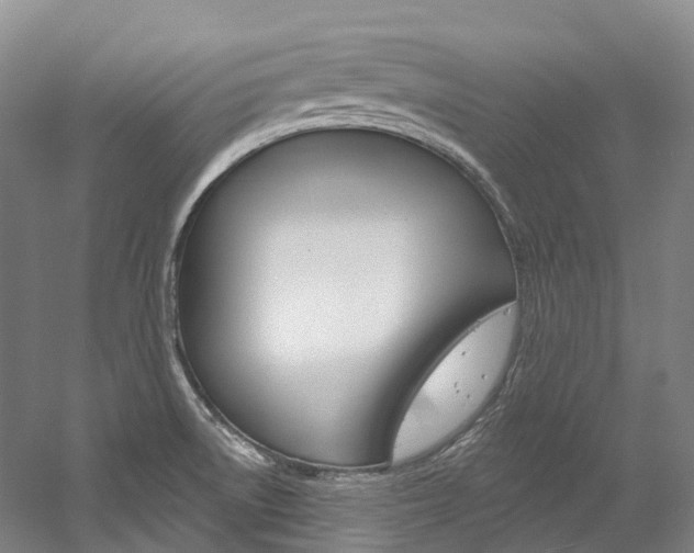 X0000058771522200509300826