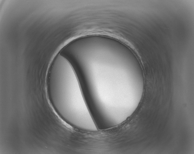 X0000058771525200509300826