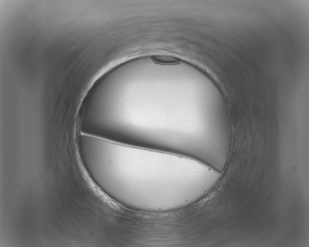 X0000058771526200509300826