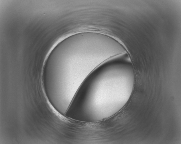 X0000058771531200509300826