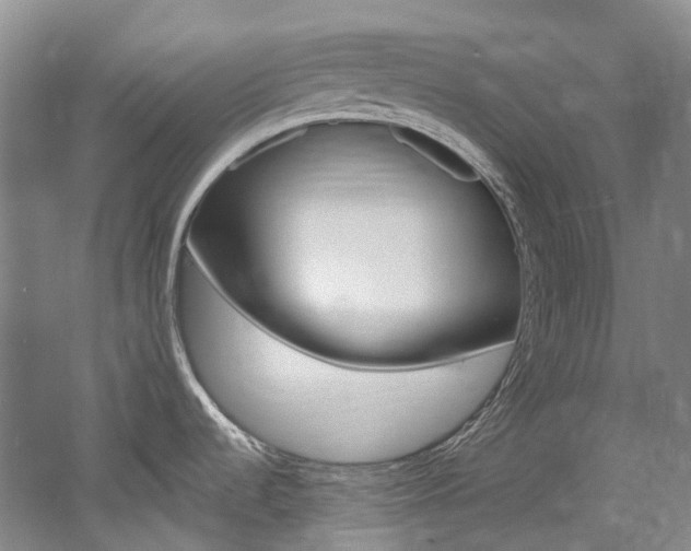X0000058771536200509300827