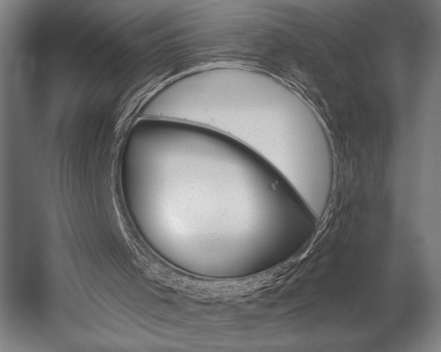 X0000058770001200509301056