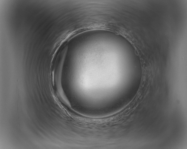 X0000058770002200509301056