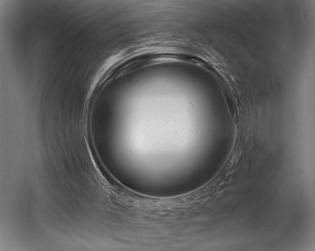 X0000058770003200509301056