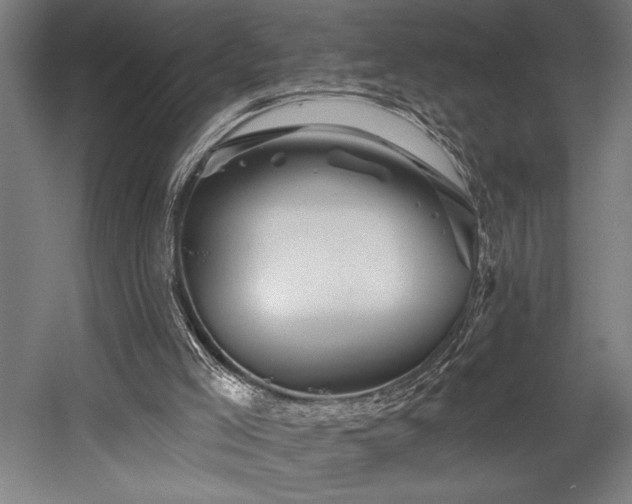 X0000058770005200509301056
