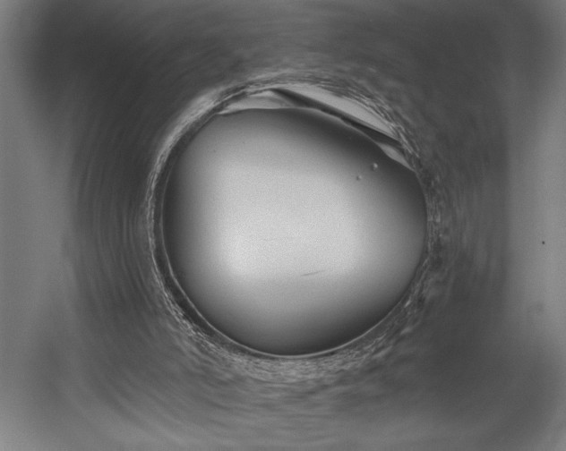 X0000058770006200509301056