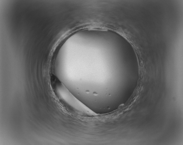 X0000058770007200509301056
