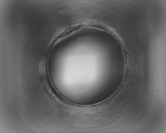 X0000058770010200509301056