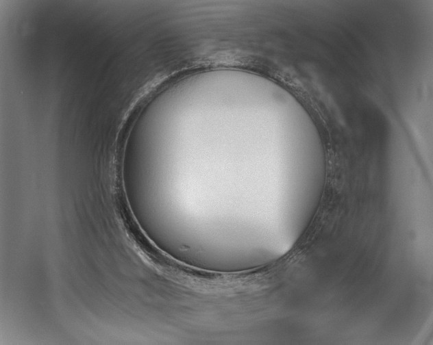 X0000058770012200509301056
