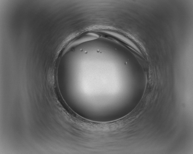 X0000058770015200509301056