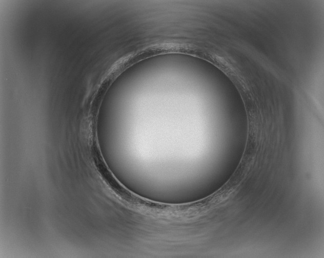 X0000058770016200509301056