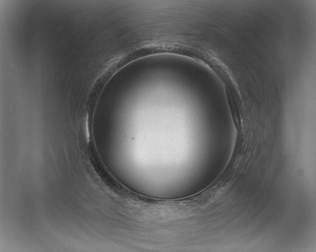 X0000058770020200509301056