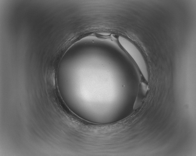 X0000058770021200509301056
