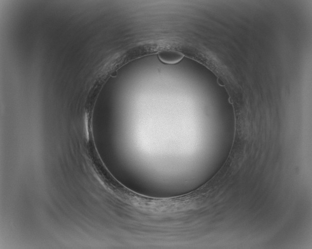 X0000058770022200509301056