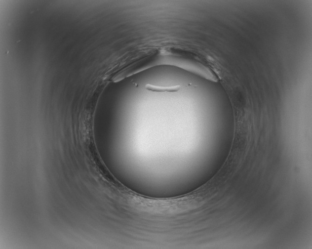 X0000058770030200509301056