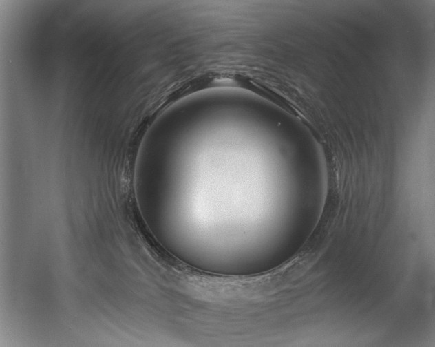 X0000058770040200509301055